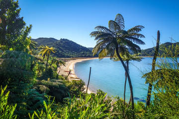 Crédence de cuisine Nouvelle-Zélande Parc national Abel Tasman en été  © daboost