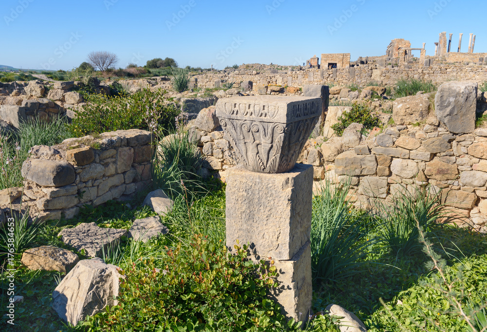Roman ruins, ancient Roman city of Volubilis. Morocco Roman ruins, ancient Roman city of Volubilis. Morocco