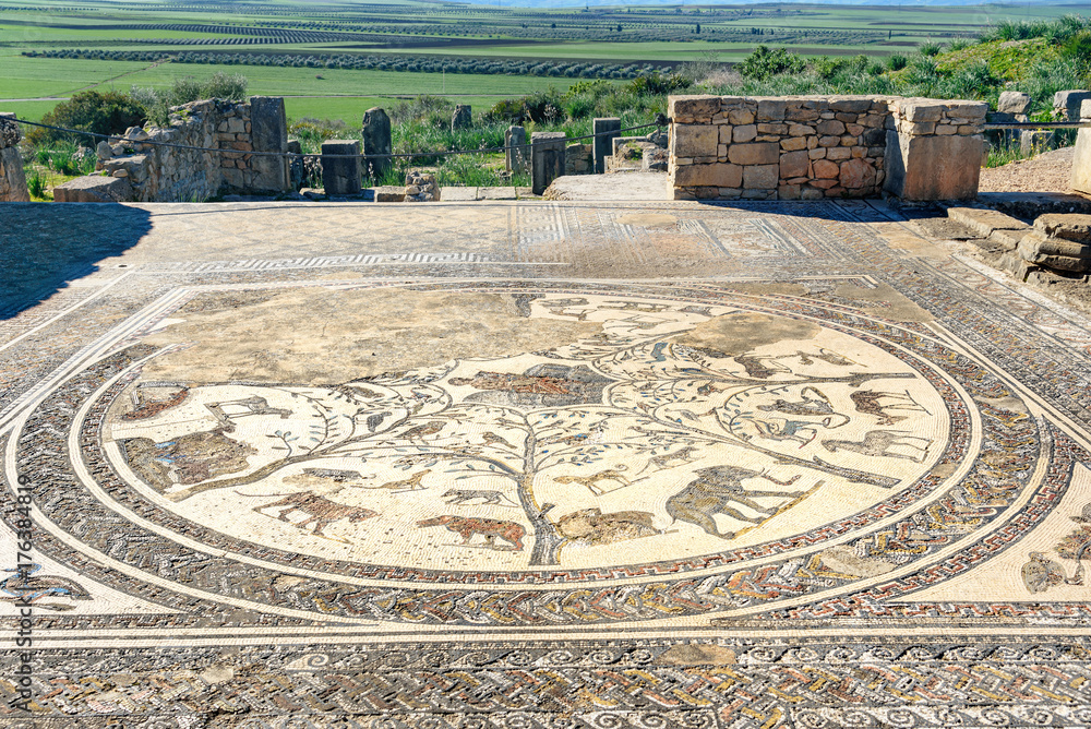 Floor mosaic in Orpfeus house in Roman ruins, ancient Roman city of Volubilis. Morocco