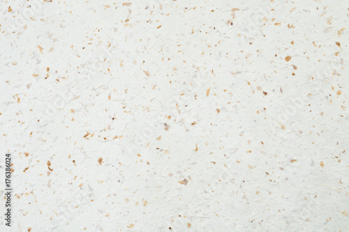 Mulberry paper with dry flower and leaf texture background