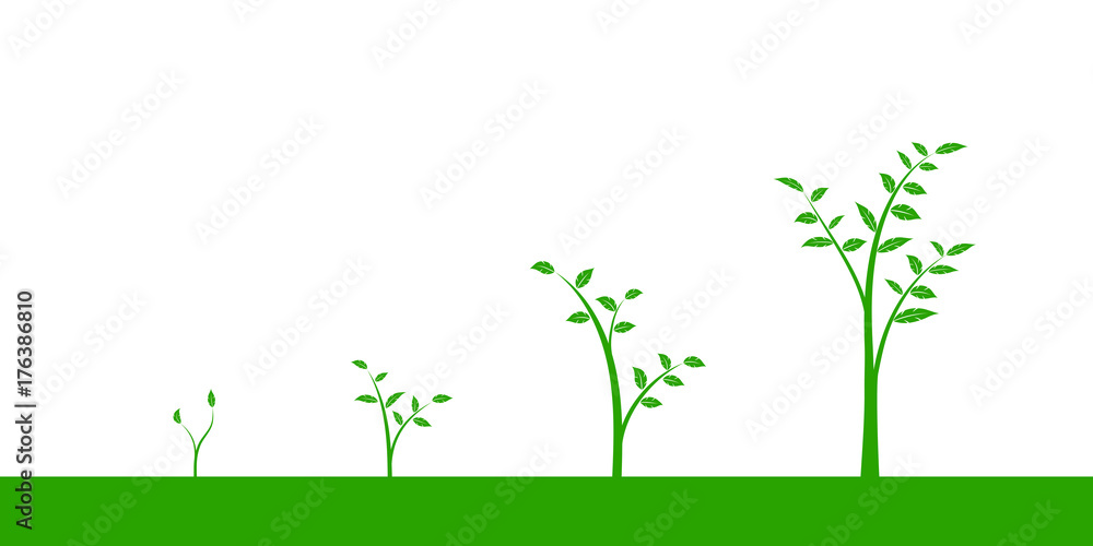 Fototapeta premium Vector illustration of a set of green icons - plant or tree growth phase, isolated