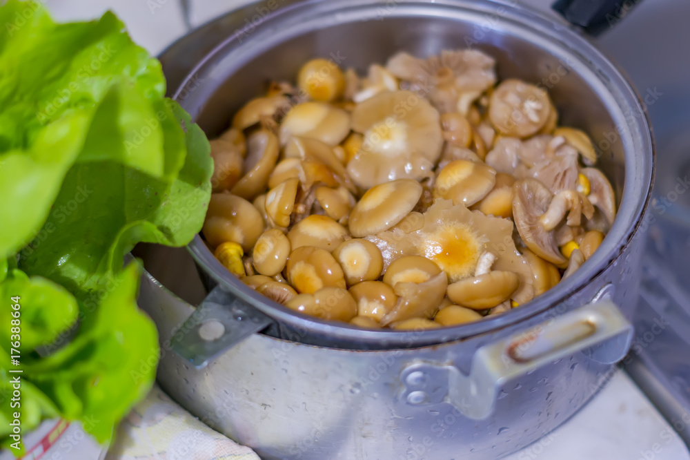 coocking process of mashrooms. honey agaric in stewpot coocking process of mashrooms. honey agaric in stewpot