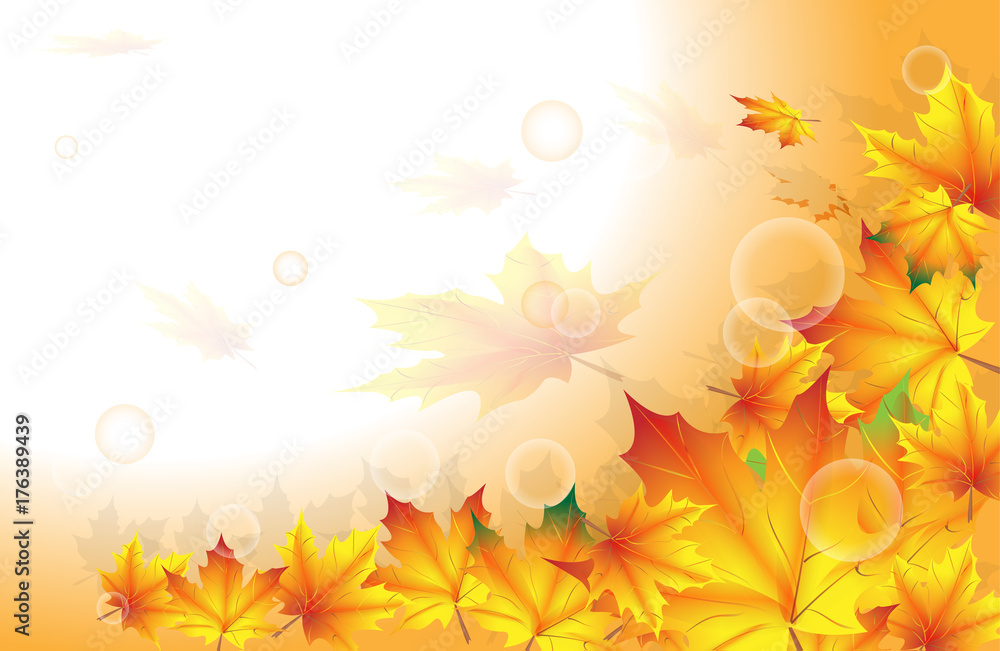 background of yellow autumn leaf with place for text