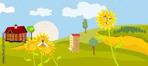 Countryside view, green fields, little cottage, sunflowers,bee hive