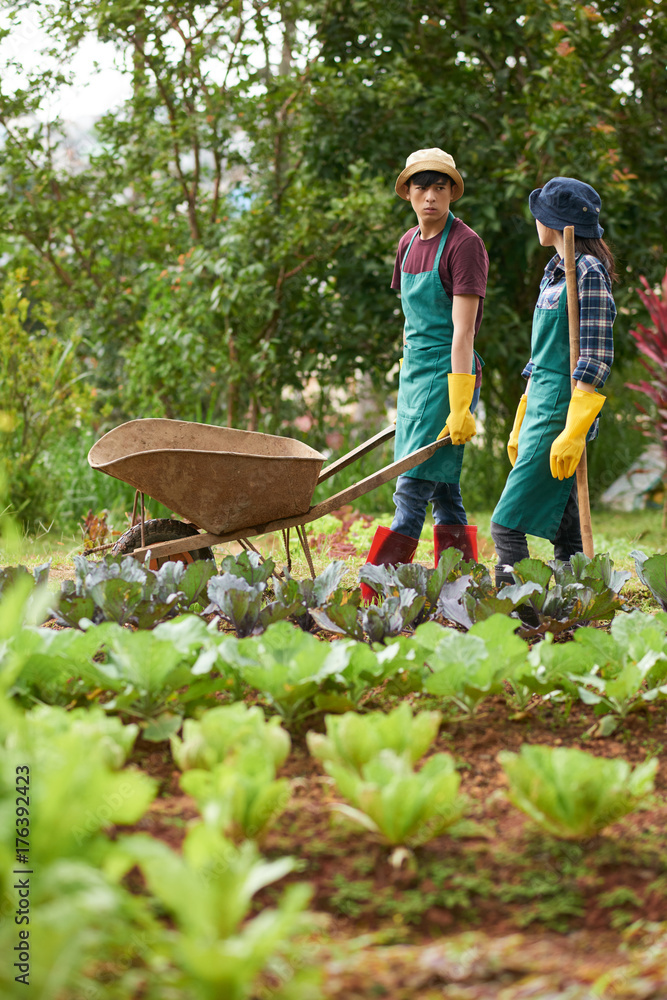 Gardening gumboots online