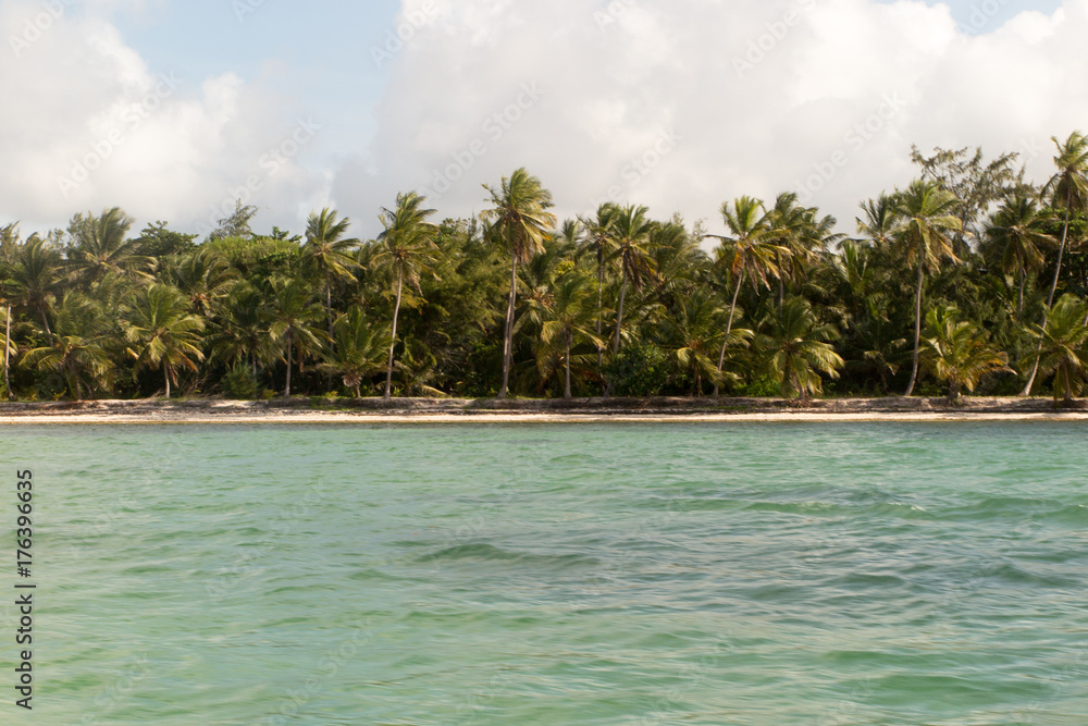 view from boat of sea coast or seaside with sand and palm tree