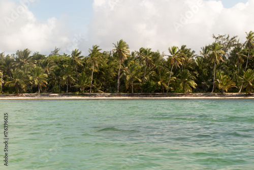 view from boat of sea coast or seaside with sand and palm tree