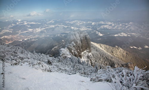 Wallpaper Mural winter landscape with snowy fir trees in the mountains Torontodigital.ca