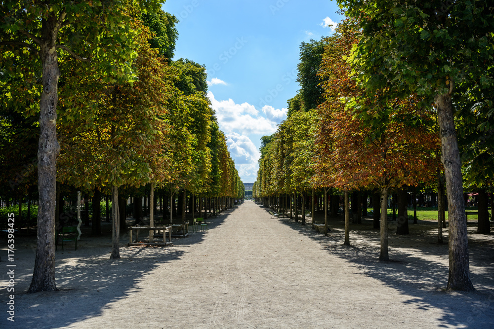 A sunny alley bordered with chestnut trees in the Tuileries garden in Paris at the end of summer.
