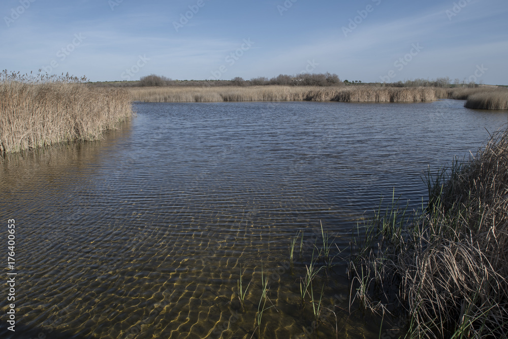 Parque Nacional de las Tablas de Daimiel Parque Nacional de las Tablas de Daimiel