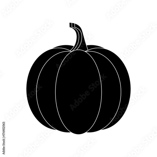 pumpkin in black and white style