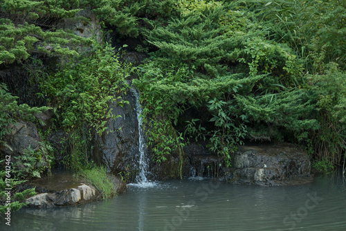 Fototapeta Naklejka Na Ścianę i Meble -  庭園の池