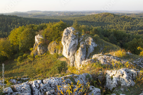 Ostaniec Grochowiec na Jurze photo