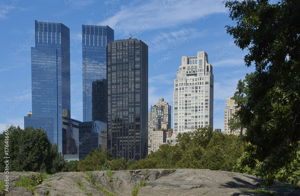 Central park with skyscrapers in the background