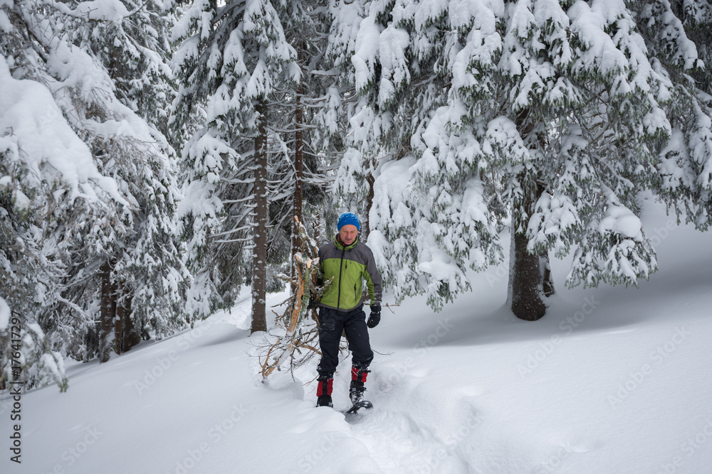 Tired traveler, in snowshoes, drags an armful of firewood