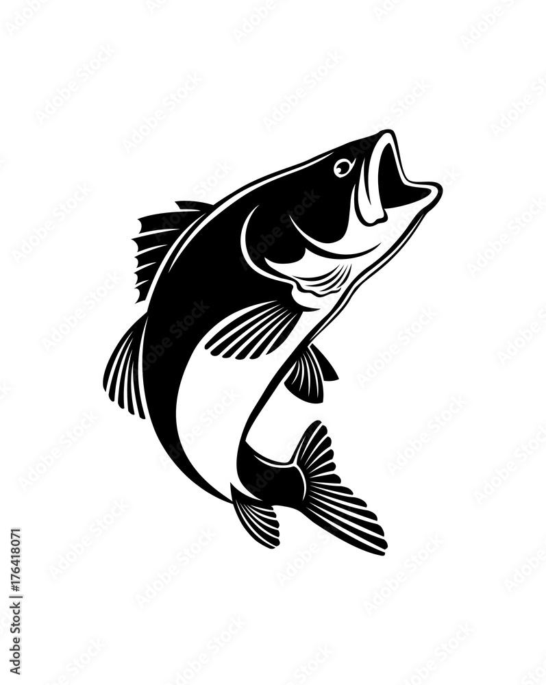 Fototapeta premium bass fish