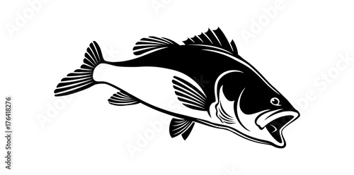bass fish