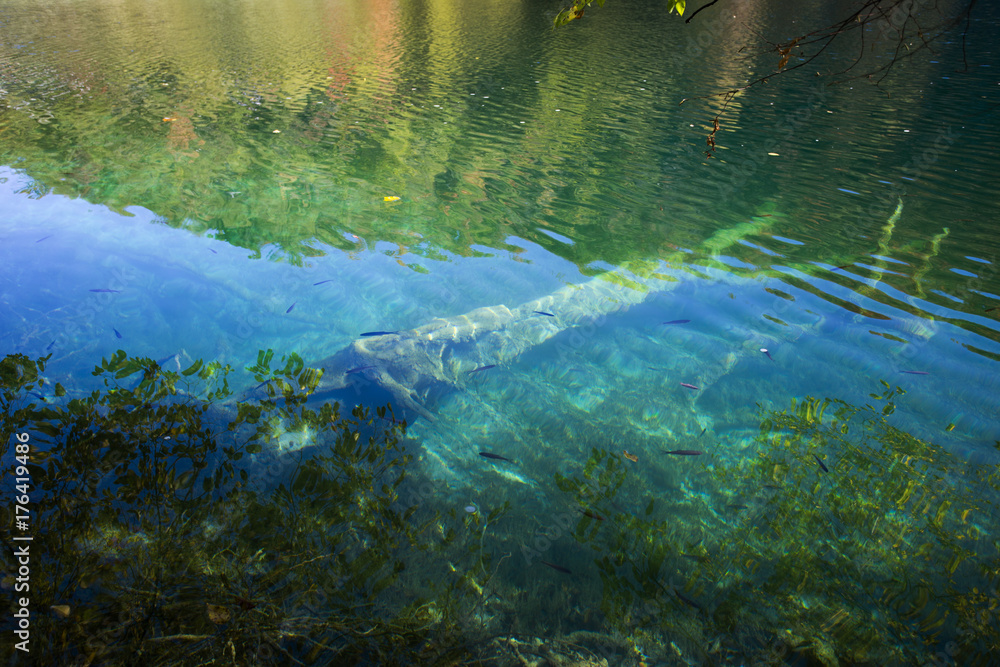 Fototapeta premium Autumn in Plitvice lakes national park in Croatia