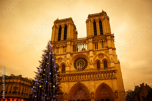 Christmas tree in front of the Notre Dame cathedral in the evening. Paris, France. Aged photo.