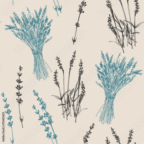 Hand-drawn seamless pattern of Lavender, vector