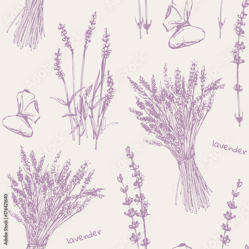 Hand-drawn seamless pattern of Lavender, vector