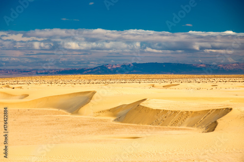 Erg with dunes, mountains in the background