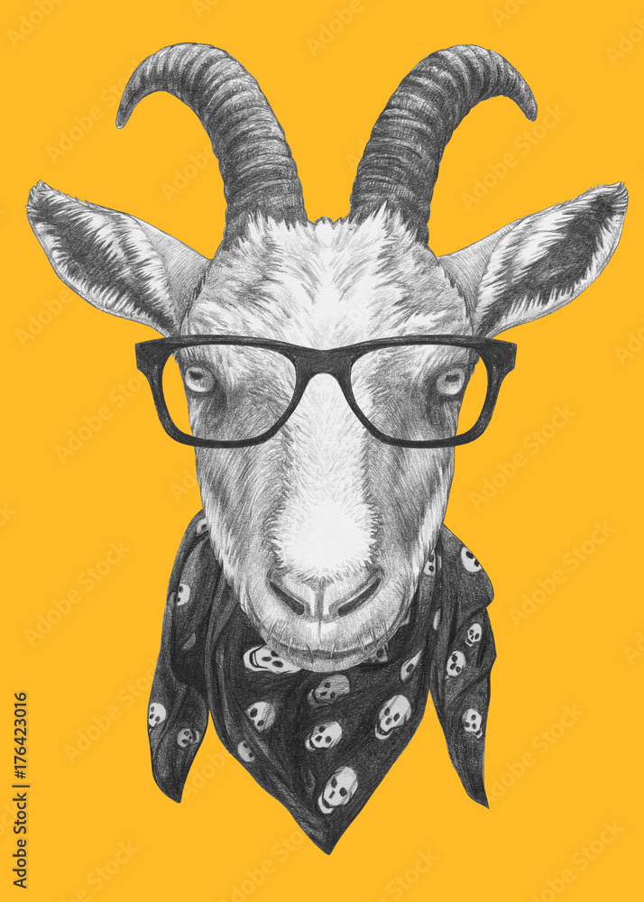 Obraz premium Portrait of Goat with glasses and scarf, hand-drawn illustration