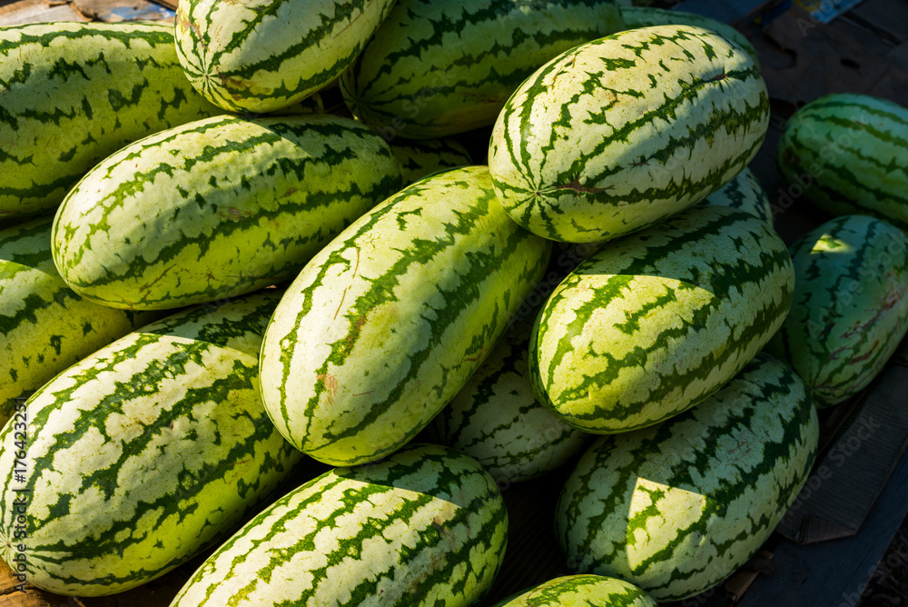 striped watermelon striped watermelon
