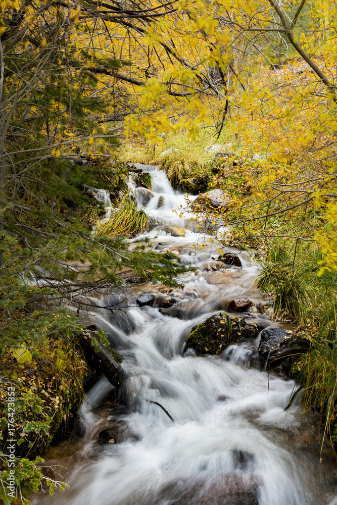 A waterfall and stream cascading through the autumn foliage