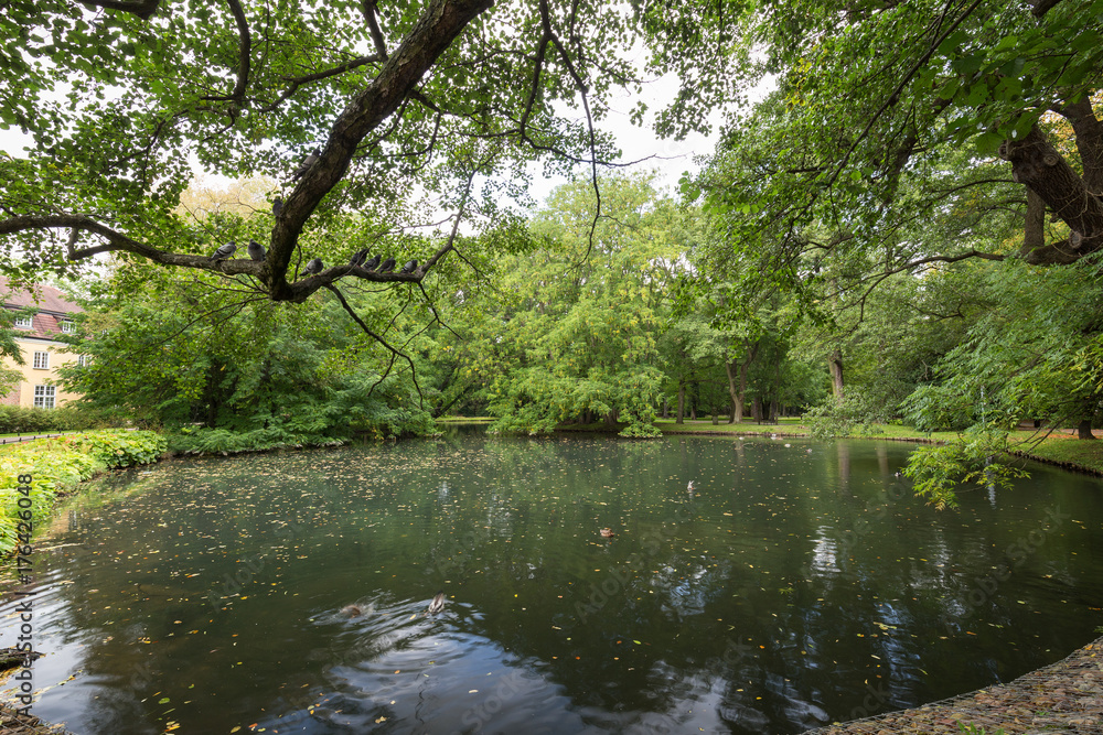 View of lush trees and a small pond at the Oliwa Park (Park Oliwski). It's a public park in Gdansk, Poland. View of lush trees and a small pond at the Oliwa Park (Park Oliwski). It's a public park in Gdansk, Poland.