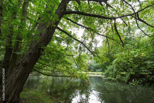 View of lush trees and a small pond at the Oliwa Park (Park Oliwski). It's a public park in Gdansk, Poland.