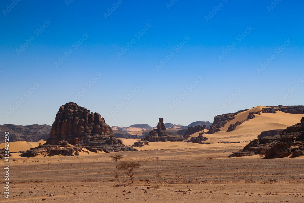 Sahara Desert Algeria