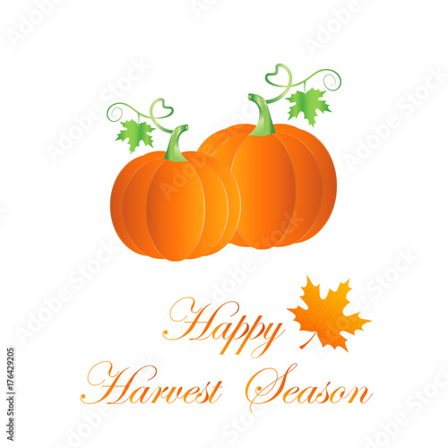 Pumpkin harvest background, Happy harvest season
