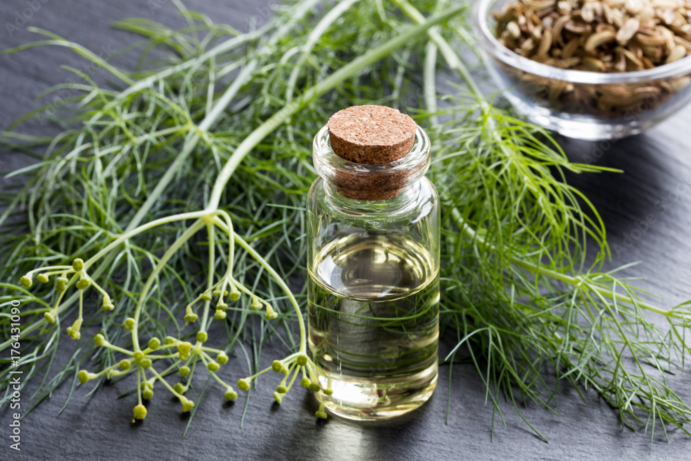 A bottle of fennel essential oil with fresh fennel tops and seeds A bottle of fennel essential oil with fresh fennel tops and seeds