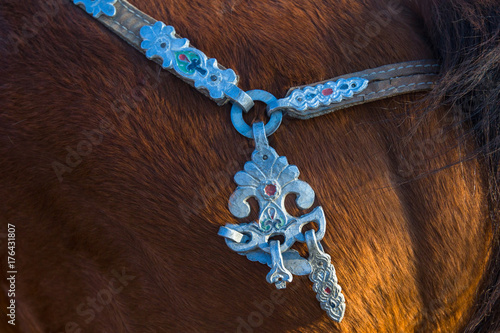 Details of the harness of Mongolian horses. © De Visu