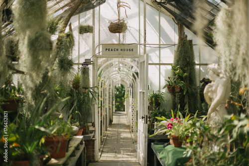 Bright light-filled greenhouse conservatory filled with plants and succulents in terra cotta pots