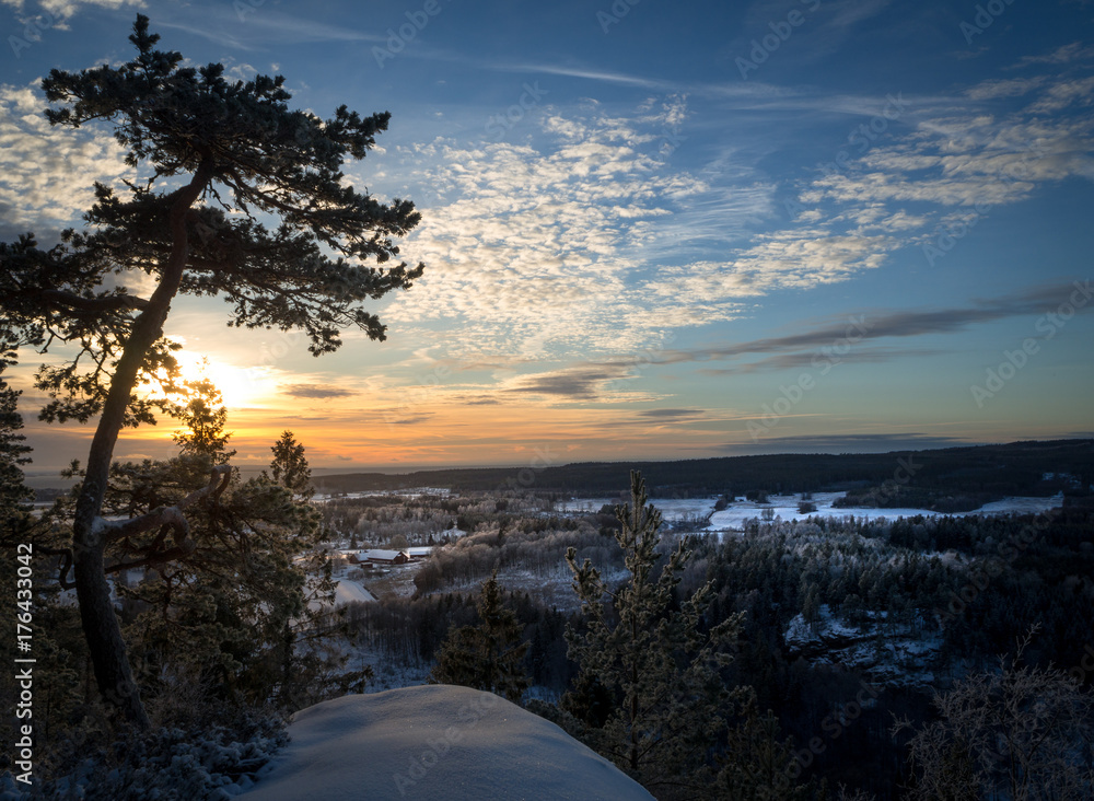 Winter View Winter View