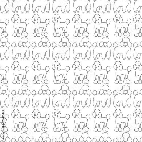 Funny hand drawing black white poodle seamless pattern, vector cartoon dog. Coloring for adults and children.