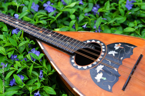 folk musical tool guitar mandolin on the background of grass and flowers periwinkle