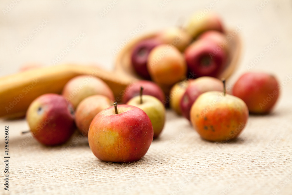 Small, red apples with burlap texture in the background
Small, red apples with burlap texture in the background