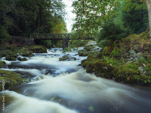 Mountain stream in green forest at Autumn time