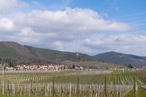 Blick über Weinfelder auf den Weinort Gleisweiler photo