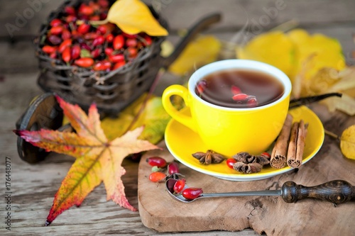 hot tea with rose hips, autumn, rain