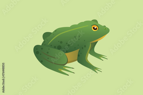 Frog Cartoon Vector Illustration isolated. tropical animal © denis08131