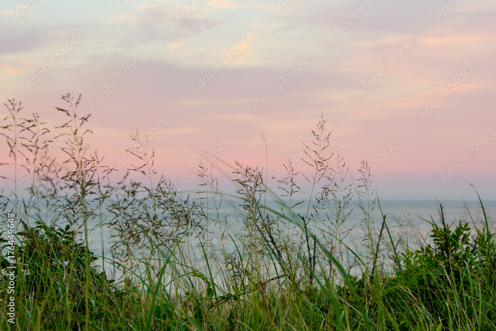 beach grass colorful sunset