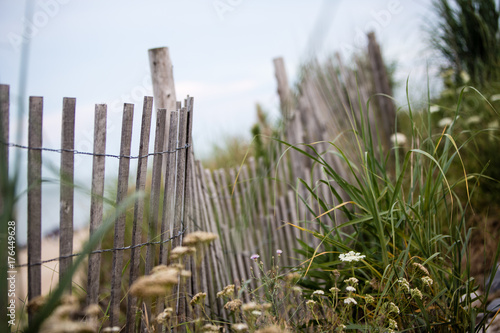 wooden fence dunes beach 