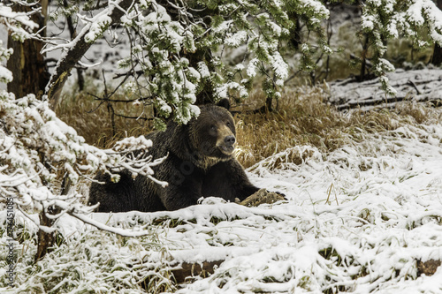 Protecting the scraps of survival