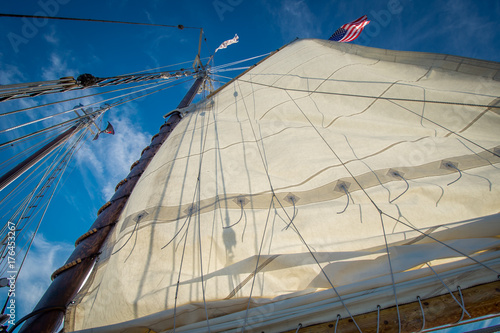 Canvas Print Sun shining through the mainsail on a sailboat