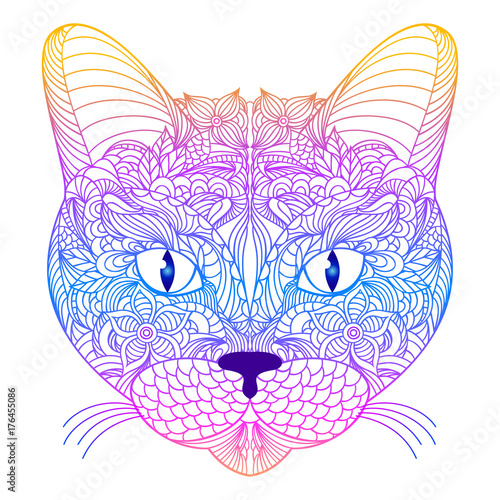 Head of cat 