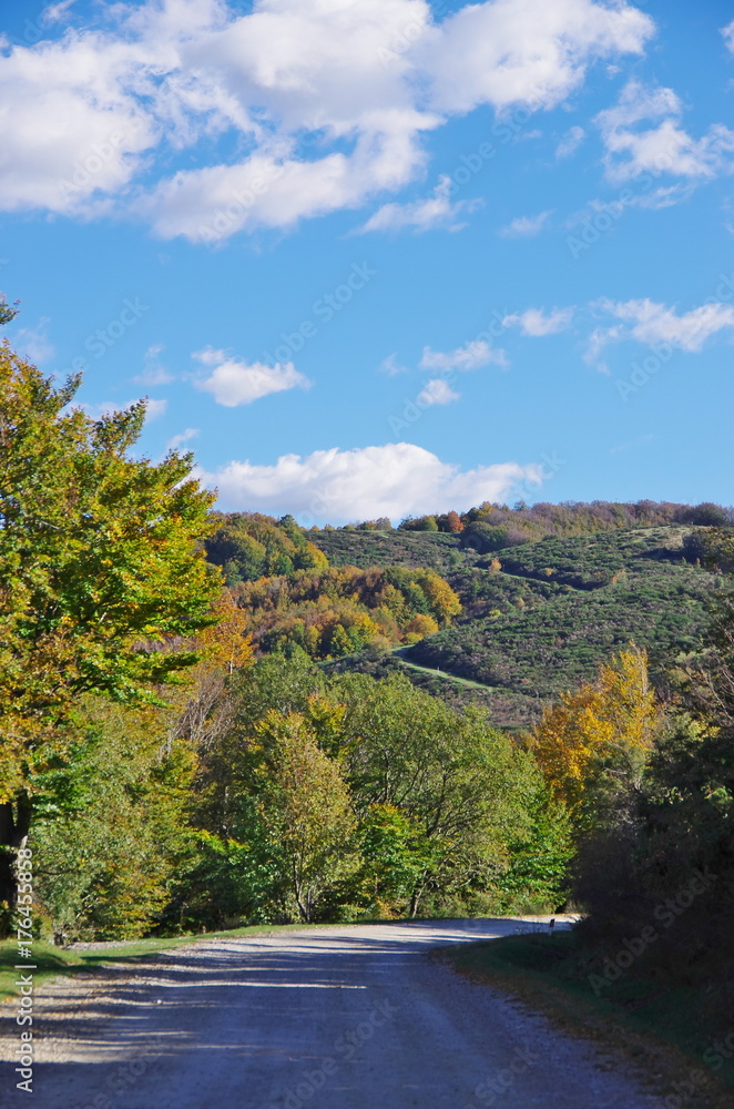 Casentino and Appennines from Pratomagno, autum foliage.